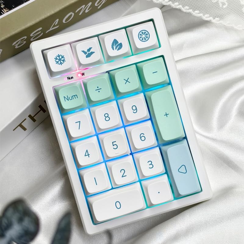 21-Key Hot-Swappable Wireless Keypad | RGB Backlit | Compact Transparent Design | Multi-Mode Connection | Customizable Function Keys