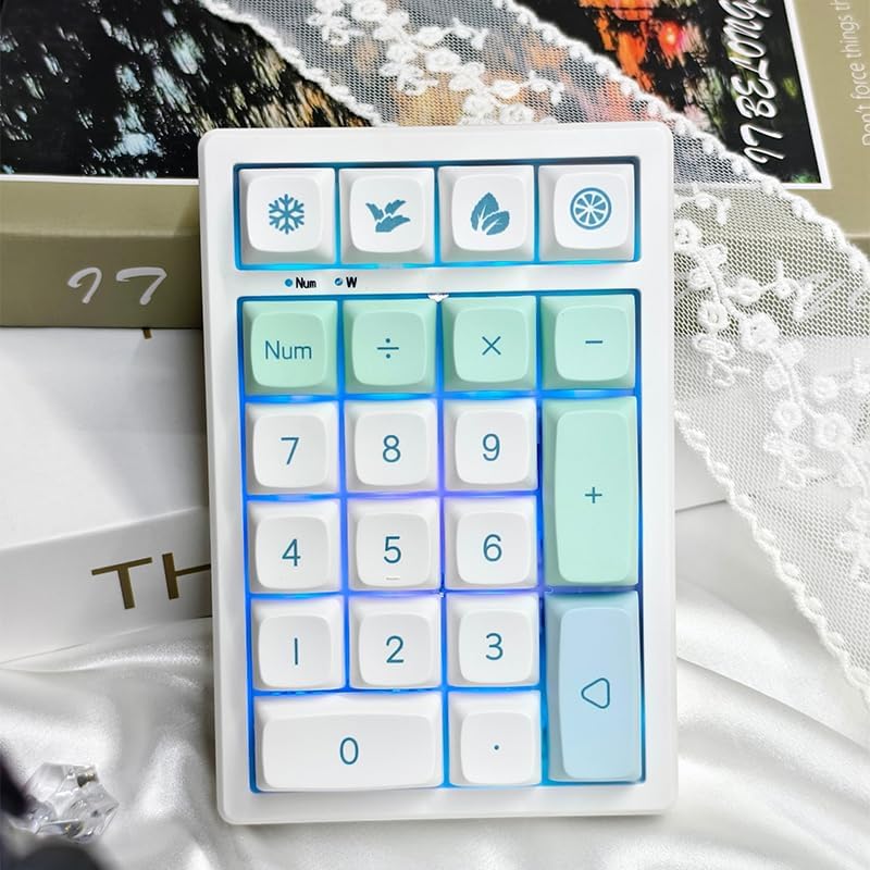 21-Key Hot-Swappable Wireless Keypad | RGB Backlit | Compact Transparent Design | Multi-Mode Connection | Customizable Function Keys