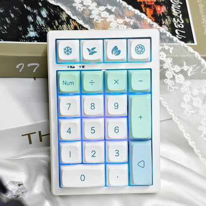 21-Key Hot-Swappable Wireless Keypad | RGB Backlit | Compact Transparent Design | Multi-Mode Connection | Customizable Function Keys