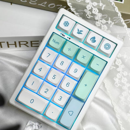 21-Key Hot-Swappable Wireless Keypad | RGB Backlit | Compact Transparent Design | Multi-Mode Connection | Customizable Function Keys