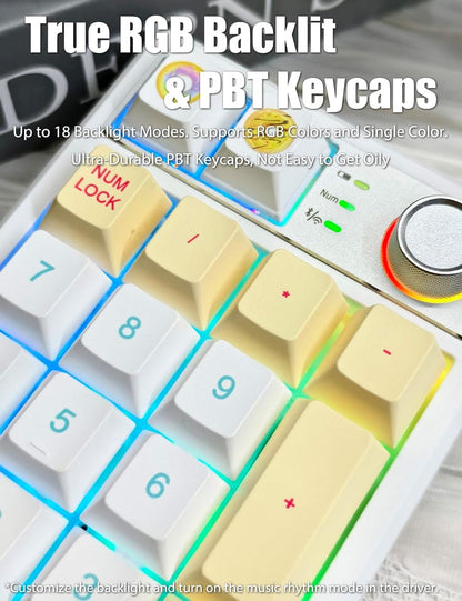 Tri-Mode Wireless Gasket Mechanical Number Pad | Hot-Swappable | RGB Backlit | Programmable Macro Keys | Volume Knob | Rechargeable Compact Keypad