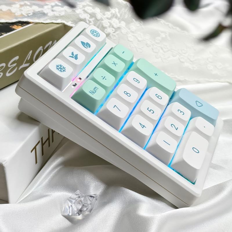 21-Key Hot-Swappable Wireless Keypad | RGB Backlit | Compact Transparent Design | Multi-Mode Connection | Customizable Function Keys