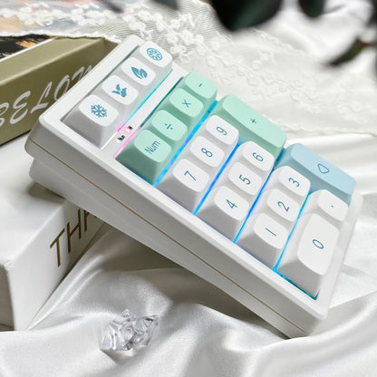 21-Key Hot-Swappable Wireless Keypad | RGB Backlit | Compact Transparent Design | Multi-Mode Connection | Customizable Function Keys