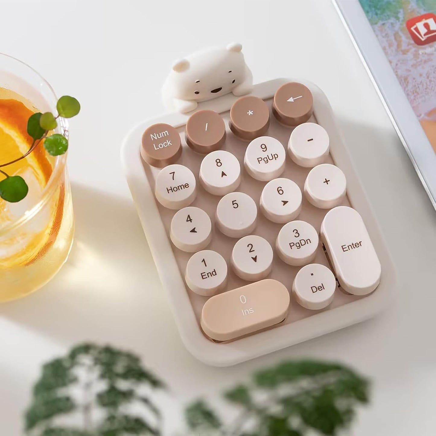 Cute Wireless Numeric Keypad with Silicone Bear | Colorful Round Keycaps | 2.4G USB Plug-and-Play Portable Number Pad