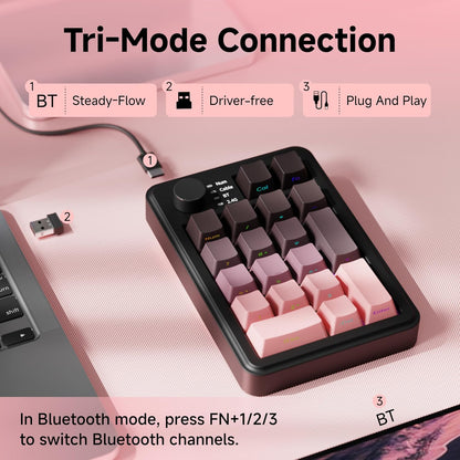 20-Key Retro Mechanical Number Pad | Tri-Mode Connection (2.4G/Bluetooth/USB-C) | Hot-Swappable | RGB Backlit | Control Knob | PBT Keycaps | Rechargeable Numeric Keypad